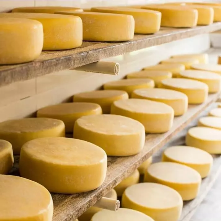Queijo Minas Artesanal Canastra450g