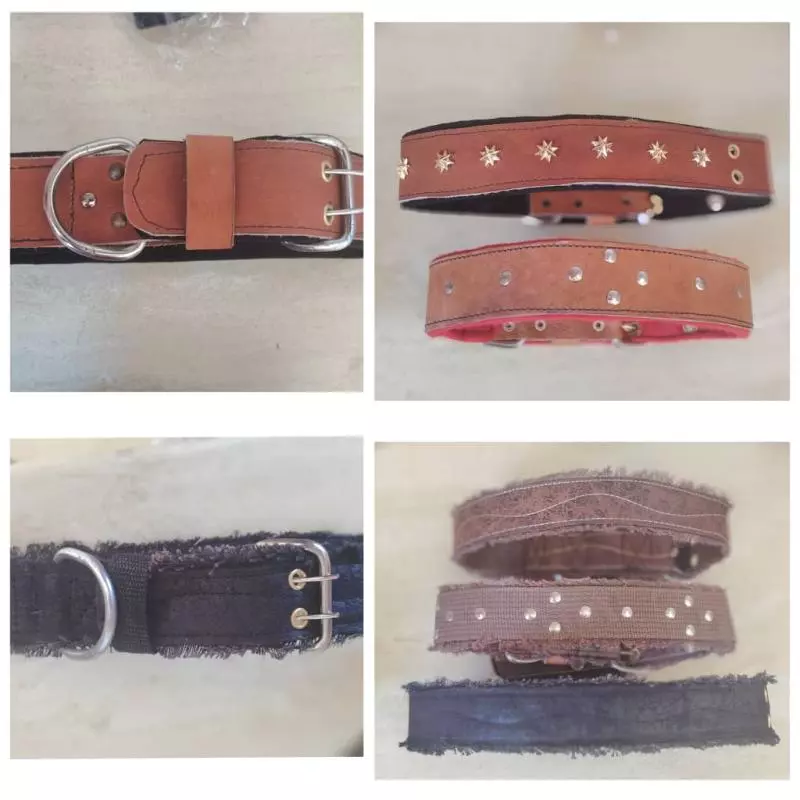 COLLAR DE PASEO