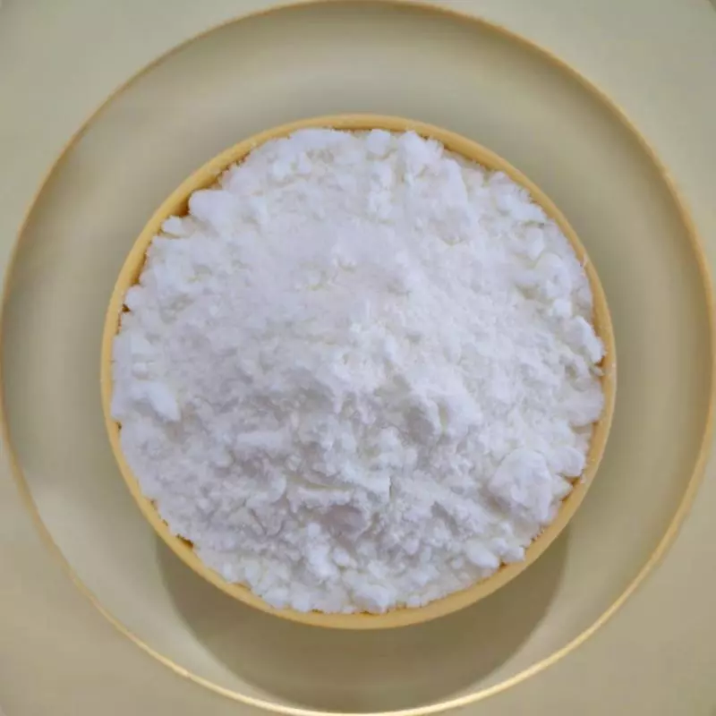 Leite de Coco em Pó Vegano 100grs