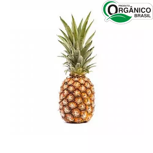 Abacaxi Orgânico Un