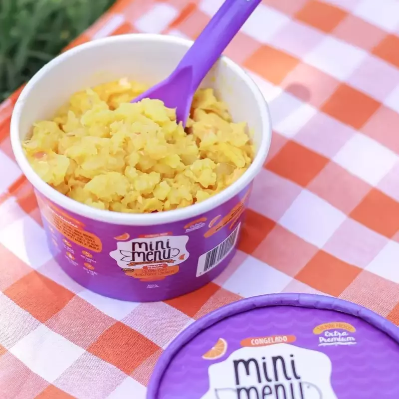 Risotinho Salmão +6M