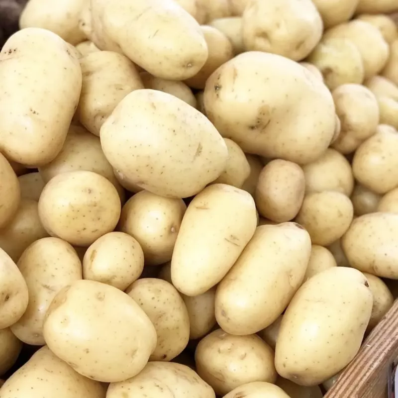 Batata