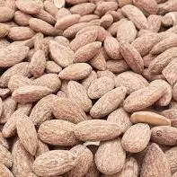 556 -  Amêndoa Torrada e Salgada