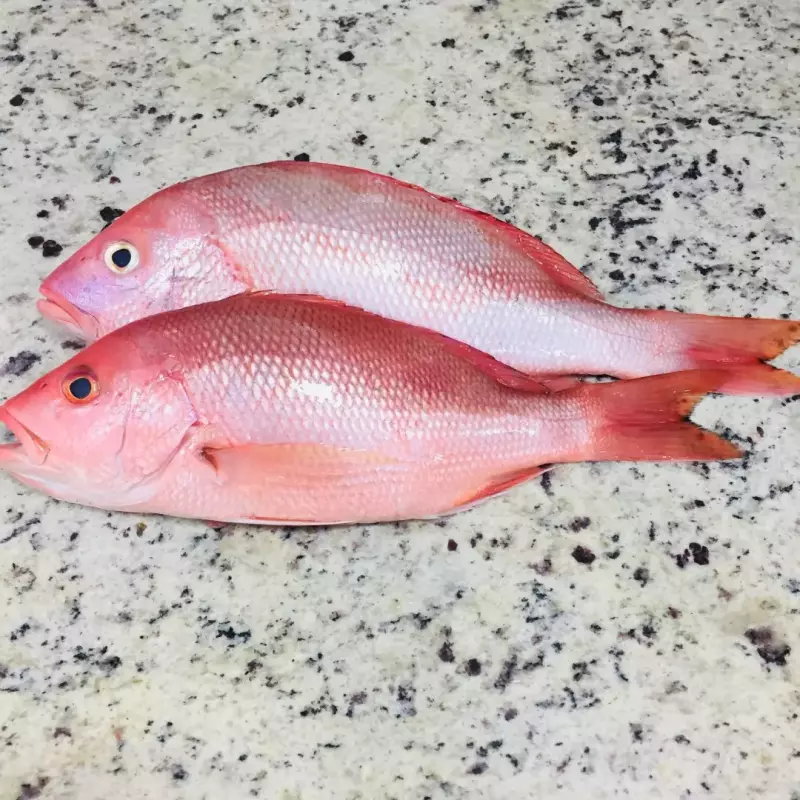 Pargo