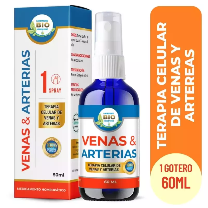 Venas y Arterias Bio