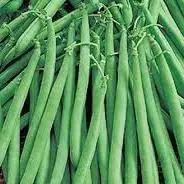 VAINICA FINA BANDEJA