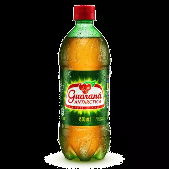 Guarana antarctica