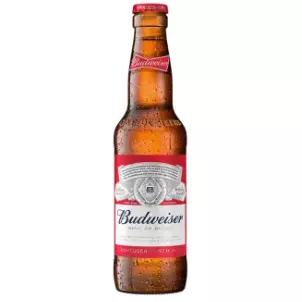 Budweiser Long Neck 330 Ml
