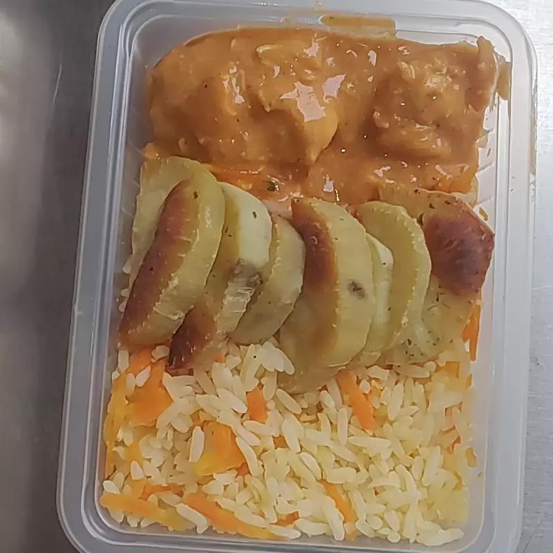 008.A) Strogonoff de Carne (Fitnnes)