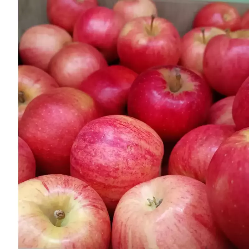 MAÇÃ IMPORTADA ORG. 1kg