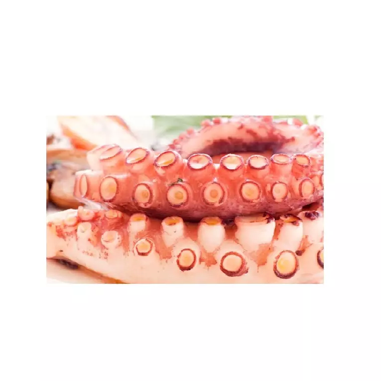 Tentáculos de polvo