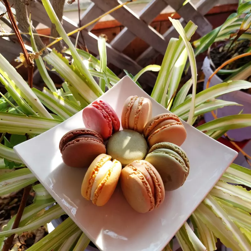 Macarons Popies