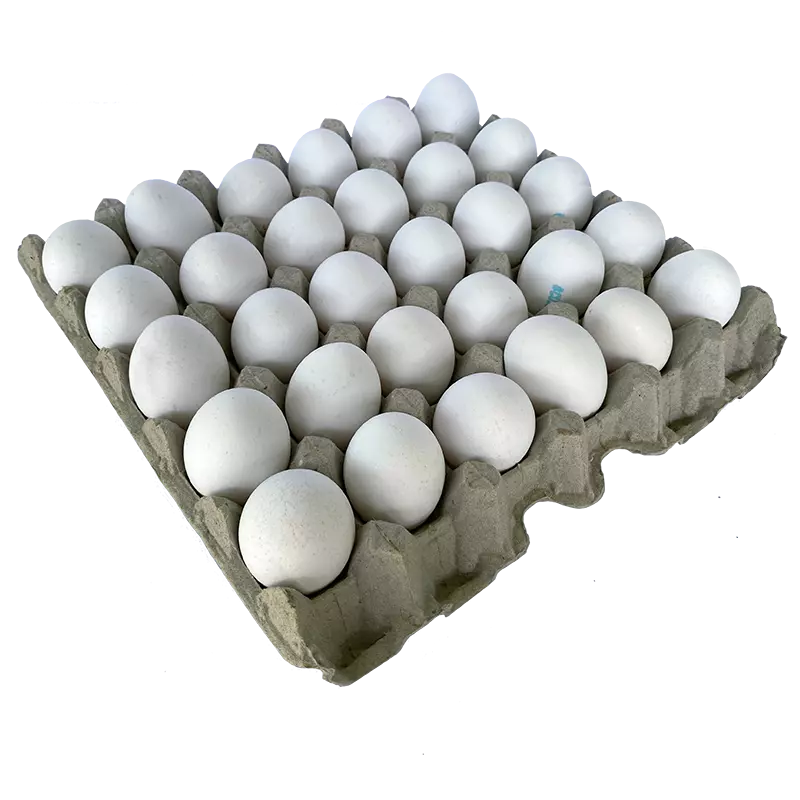 BANDEJA HUEVO BLANCO PRIMERA