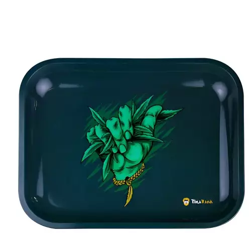 Bandeja De Metal Extra Grande 3