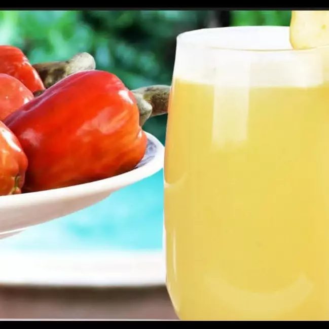 SUCO DE CAJU DA FRUTA