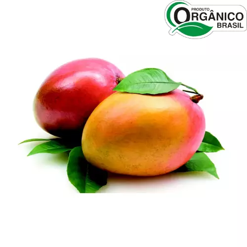 Manga Tommy Orgânica 500g