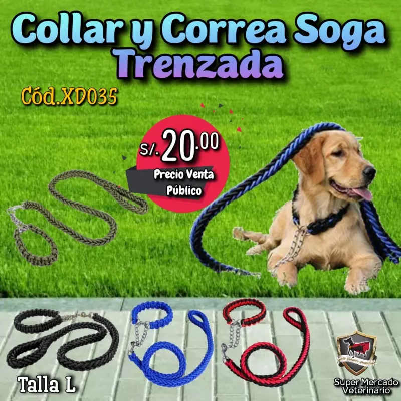 Collar y Correa Trenzada L