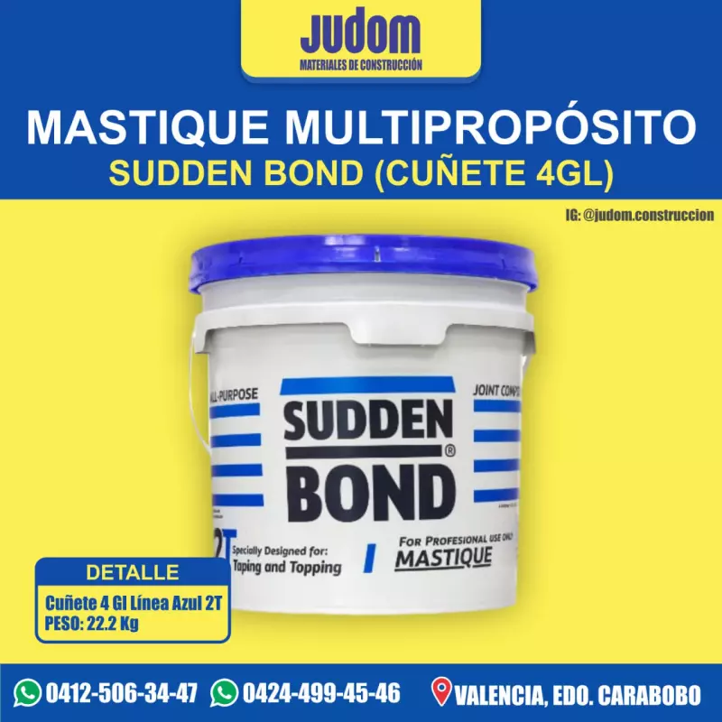 077001│MASTIQUE (PAILA) 4G