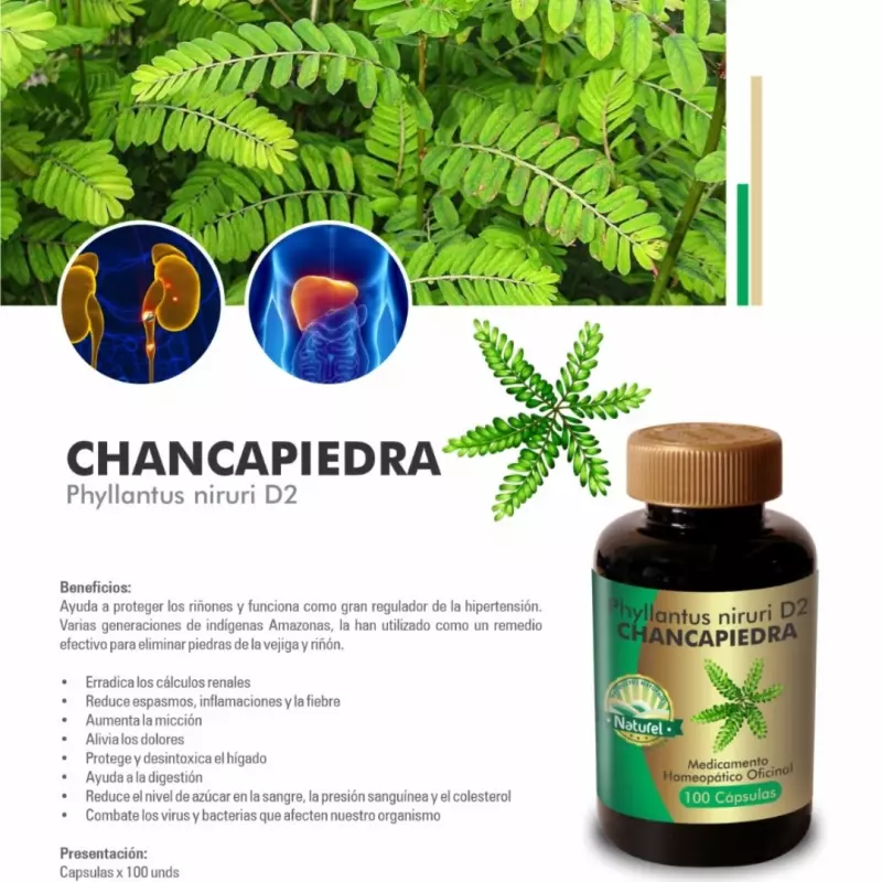 Chancapiedra x100 Capsulas