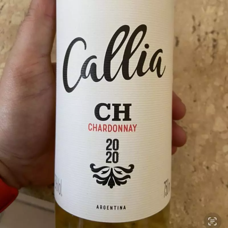 Vinho Callia Alta