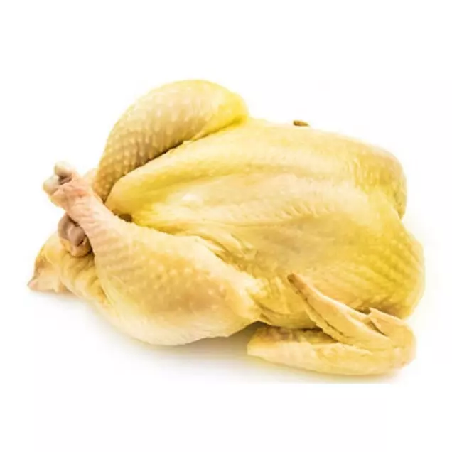 土鸡 gallina de patio