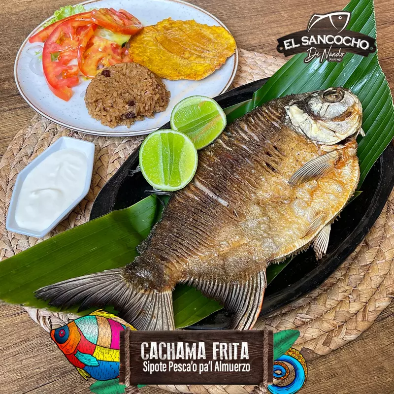 CACHAMA FRITA, SUDADA Ó ASADA