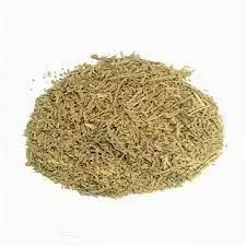 Chá de Tuia