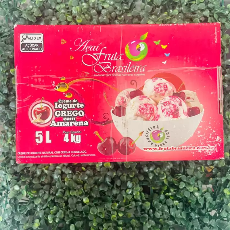 Creme iorgute Grego com Amarena 5L
