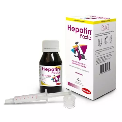 Hepatin Pasta 60 ML