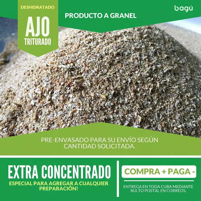 Ajo deshidratado en polvo ⏬