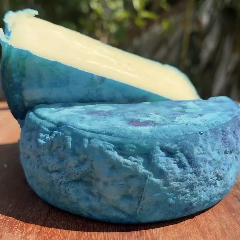 Queijo Santa Graça 470g