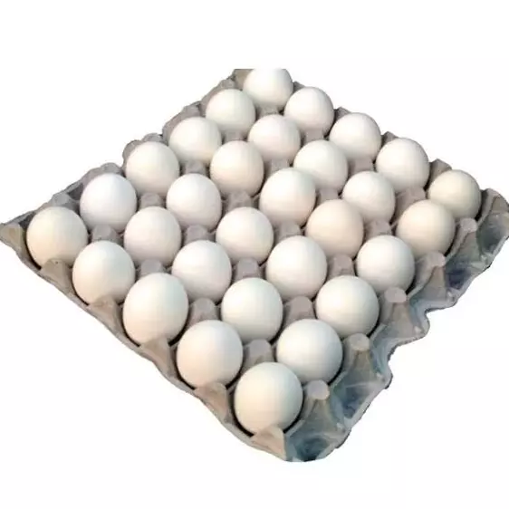 Carteras y Cajas de Huevo