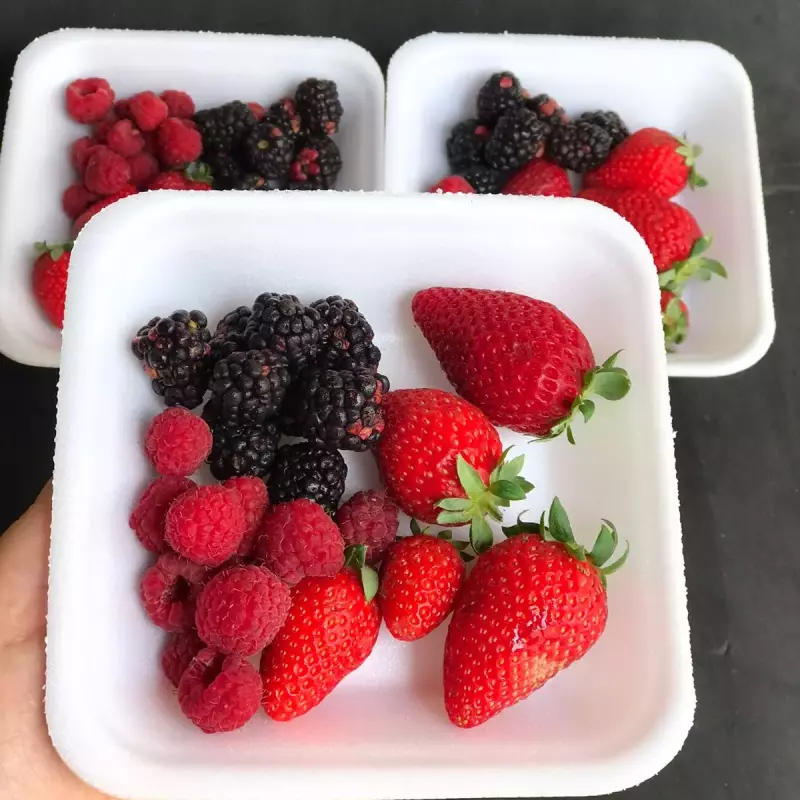 Frutas Vermelhas