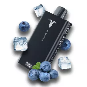 ignite v5000 blueberry ice