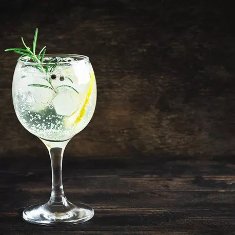 Gin tonic - ginger ale
