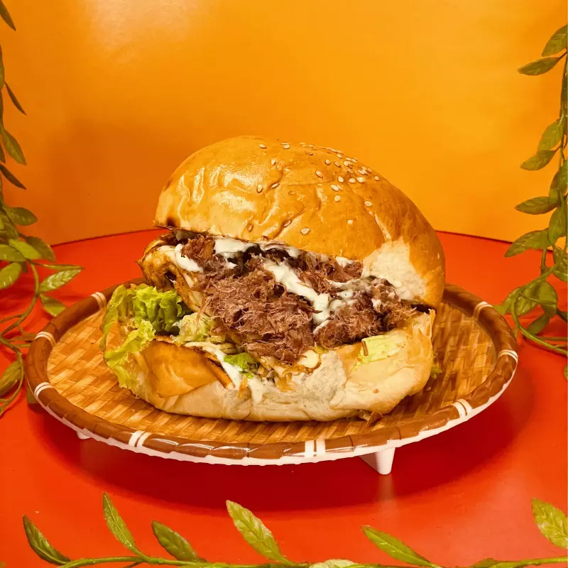 X-NORDESTÃO + BATATA FRITA (M)