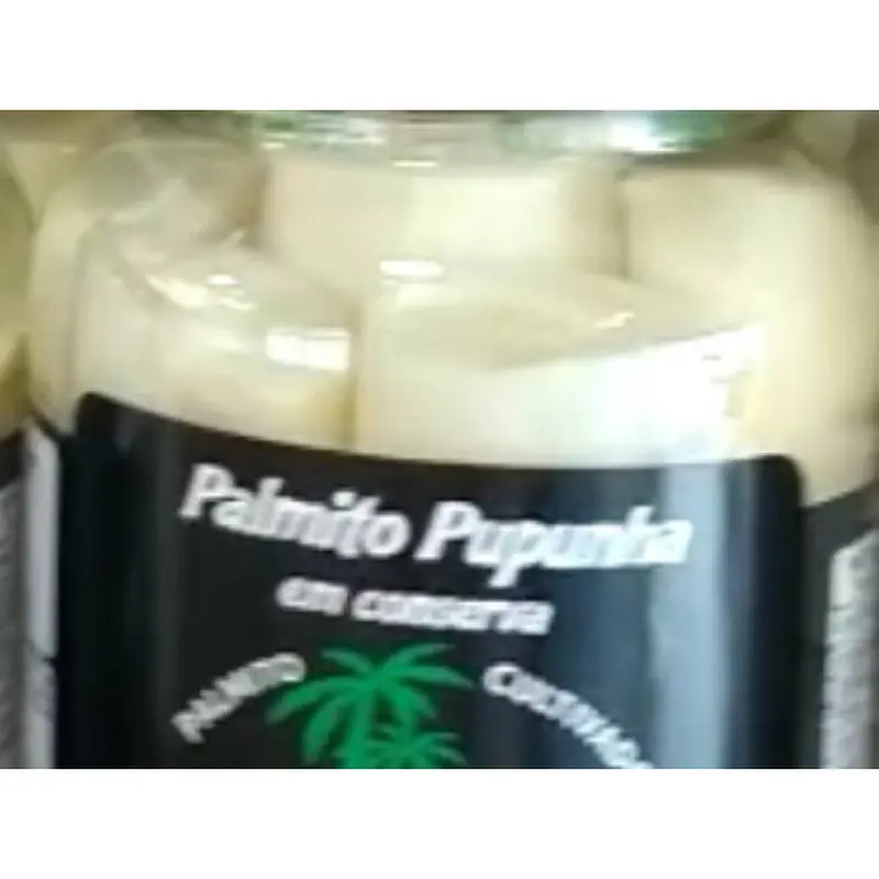 Palmito Pupunha