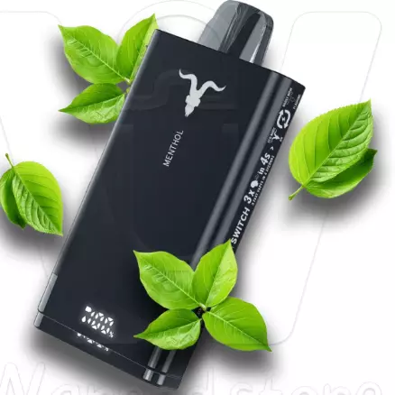 Ignite V15000  Menthol (Menta) Pro