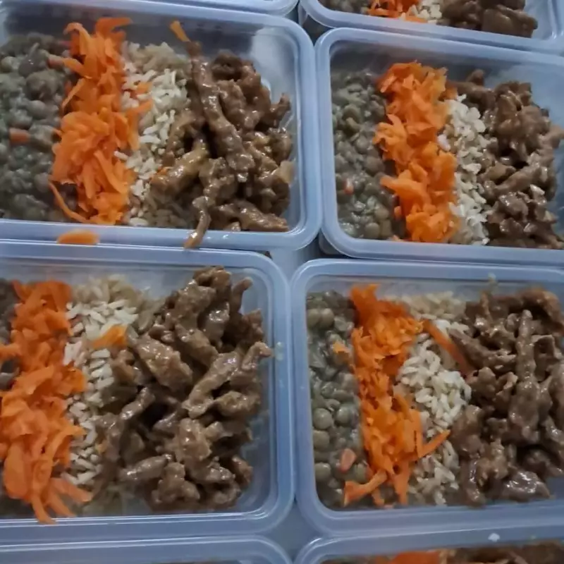 Lentilha e iscas de gado