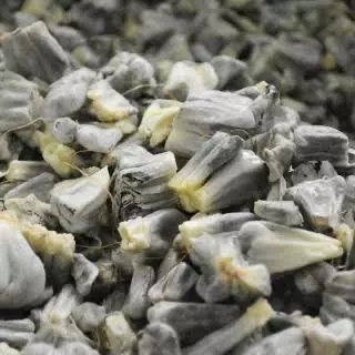 Huitlacoche