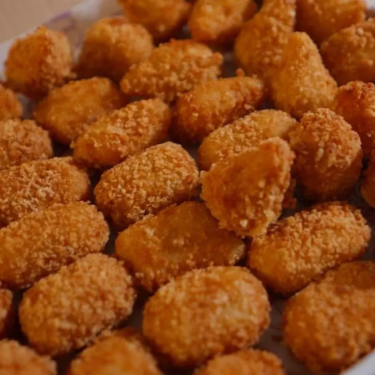 SALGADOS FRITOS