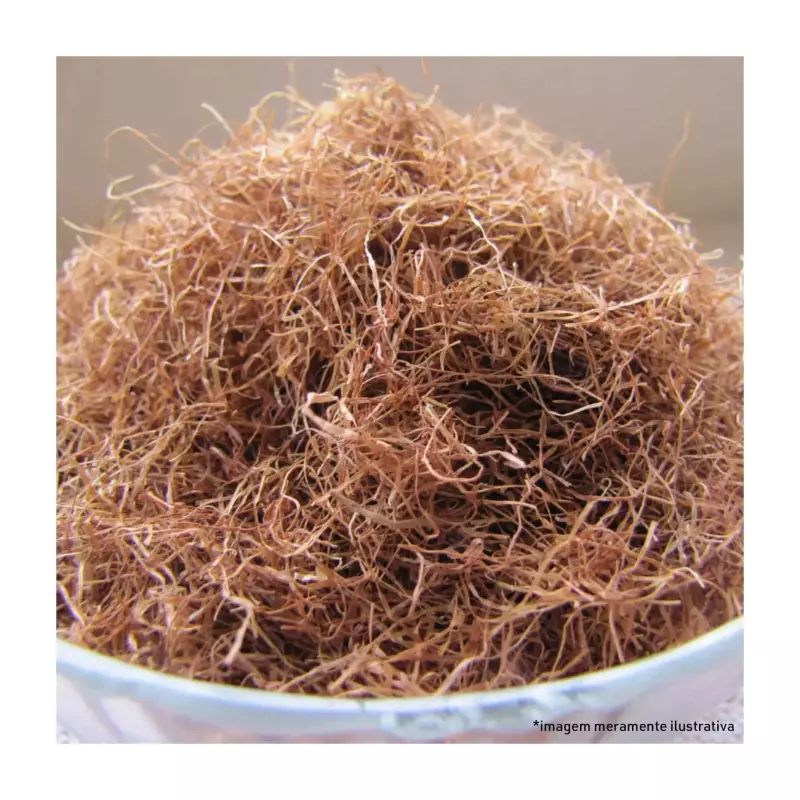 Cabelo de Milho  100g