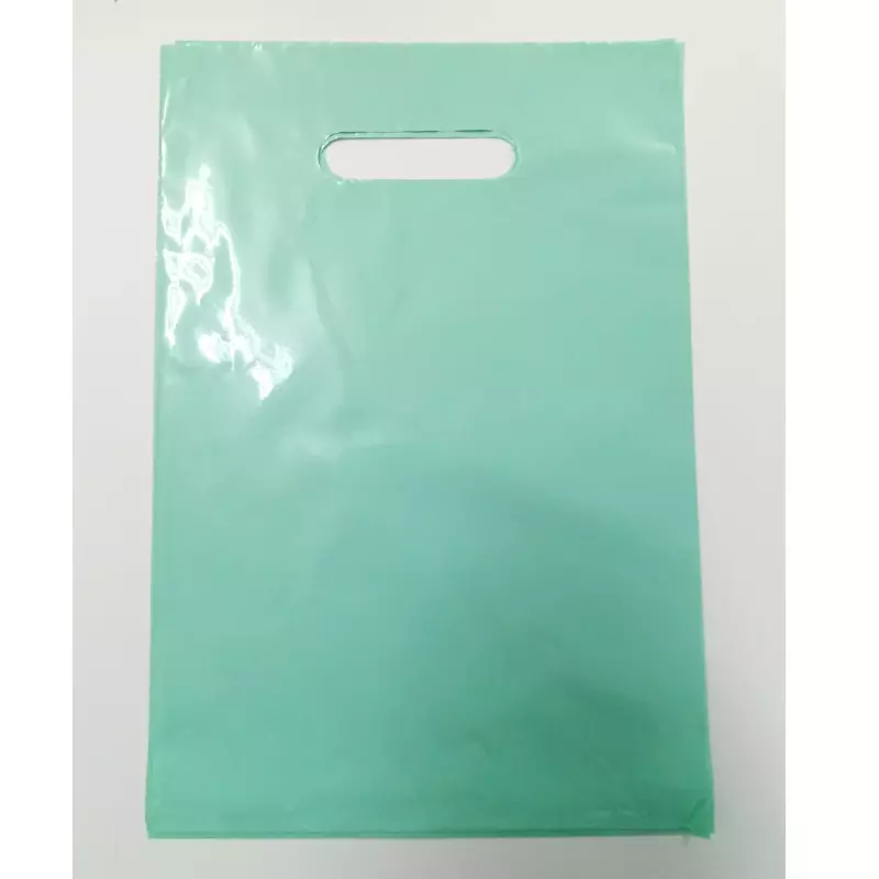 Bolsa Boutique verde agua  (25x35)