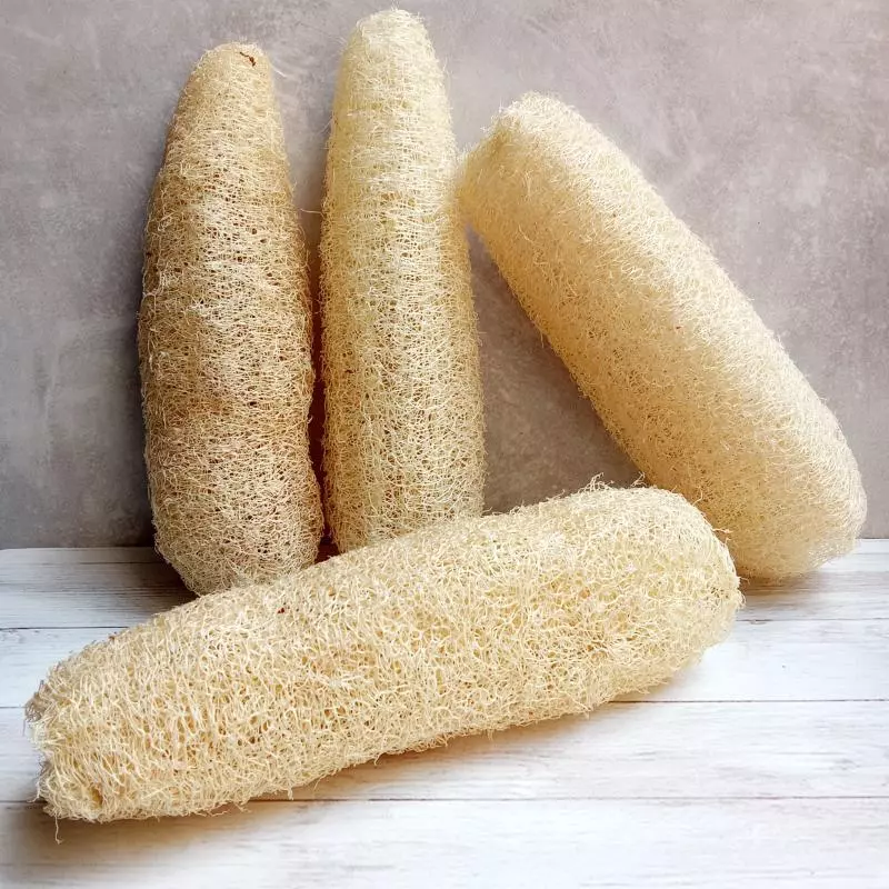 Luffa esponja natural