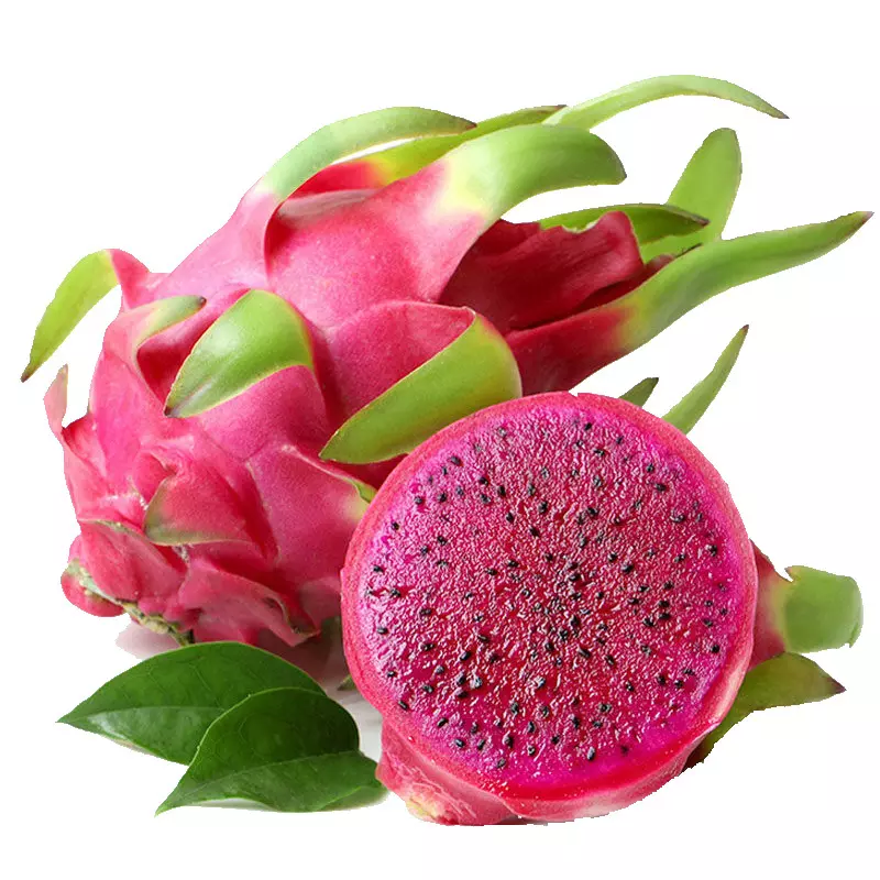 红心火龙果 pitahaya roja