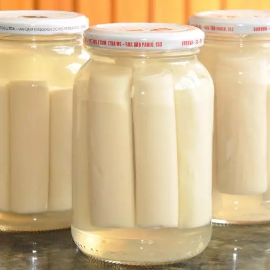 Palmito Inteiro 500g