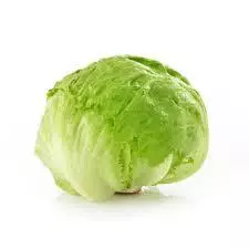 Lechuga Romana