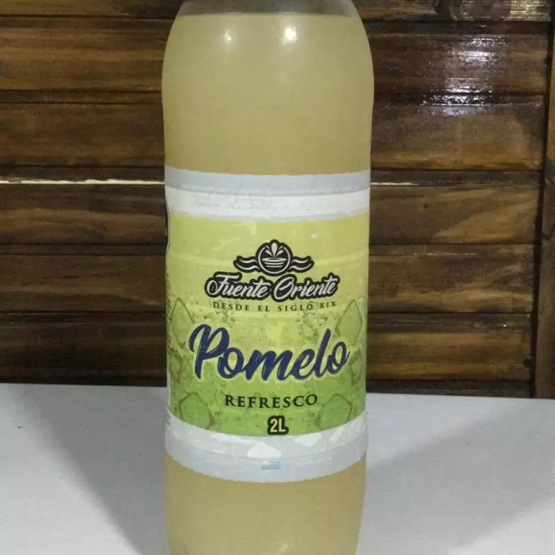 Pomelo Fonte do Oriente 2L