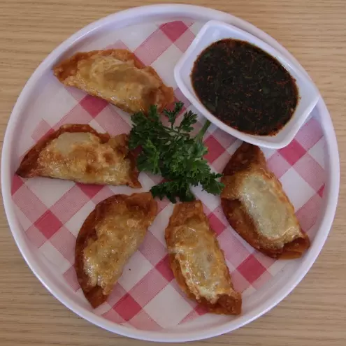 Gyozas 5pz