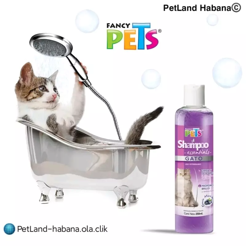 Shampoo para gatitos